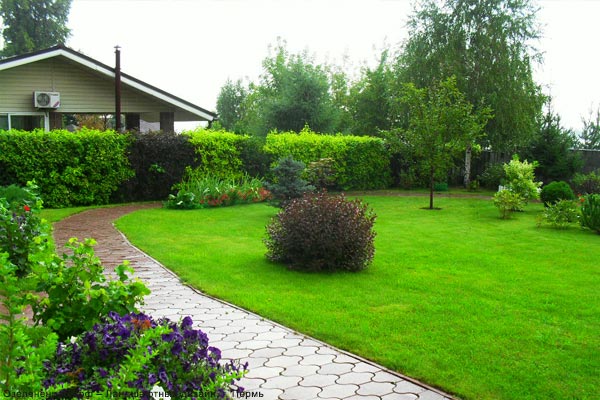 Озеленение дачного участка, загородного дома